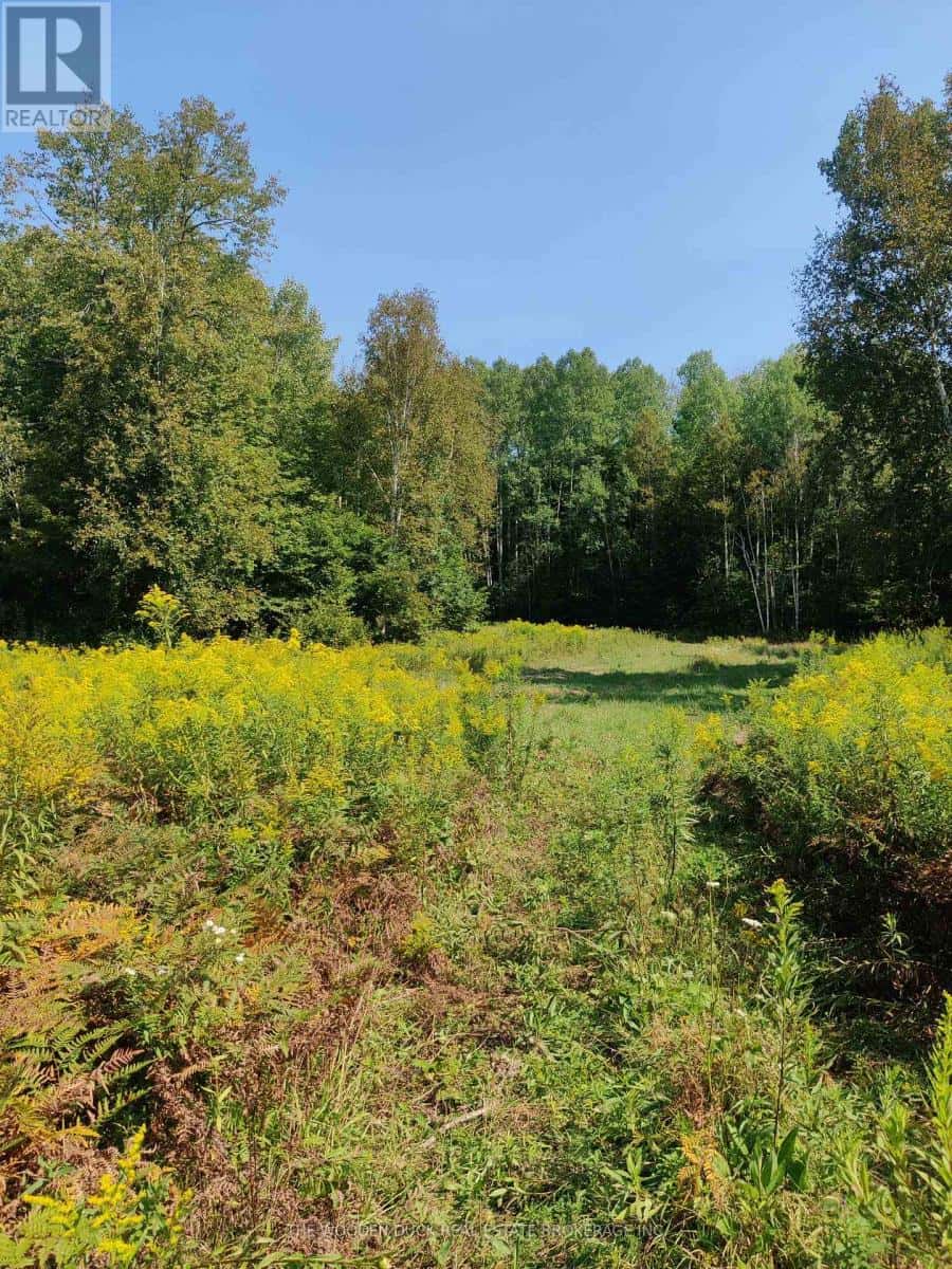 0EAST2 ROAD ALLOWANCE ROAD — Havelock-Belmont-Methuen (Belmont-Methuen), Ontario - Photo 5 of 23