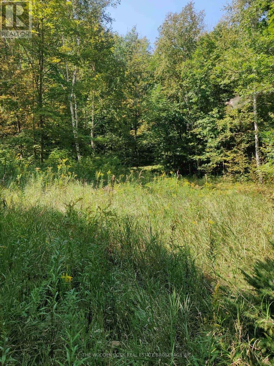 0EAST1 ROAD ALLOWANCE ROAD — Havelock-Belmont-Methuen (Belmont-Methuen), Ontario - Photo 2 of 19