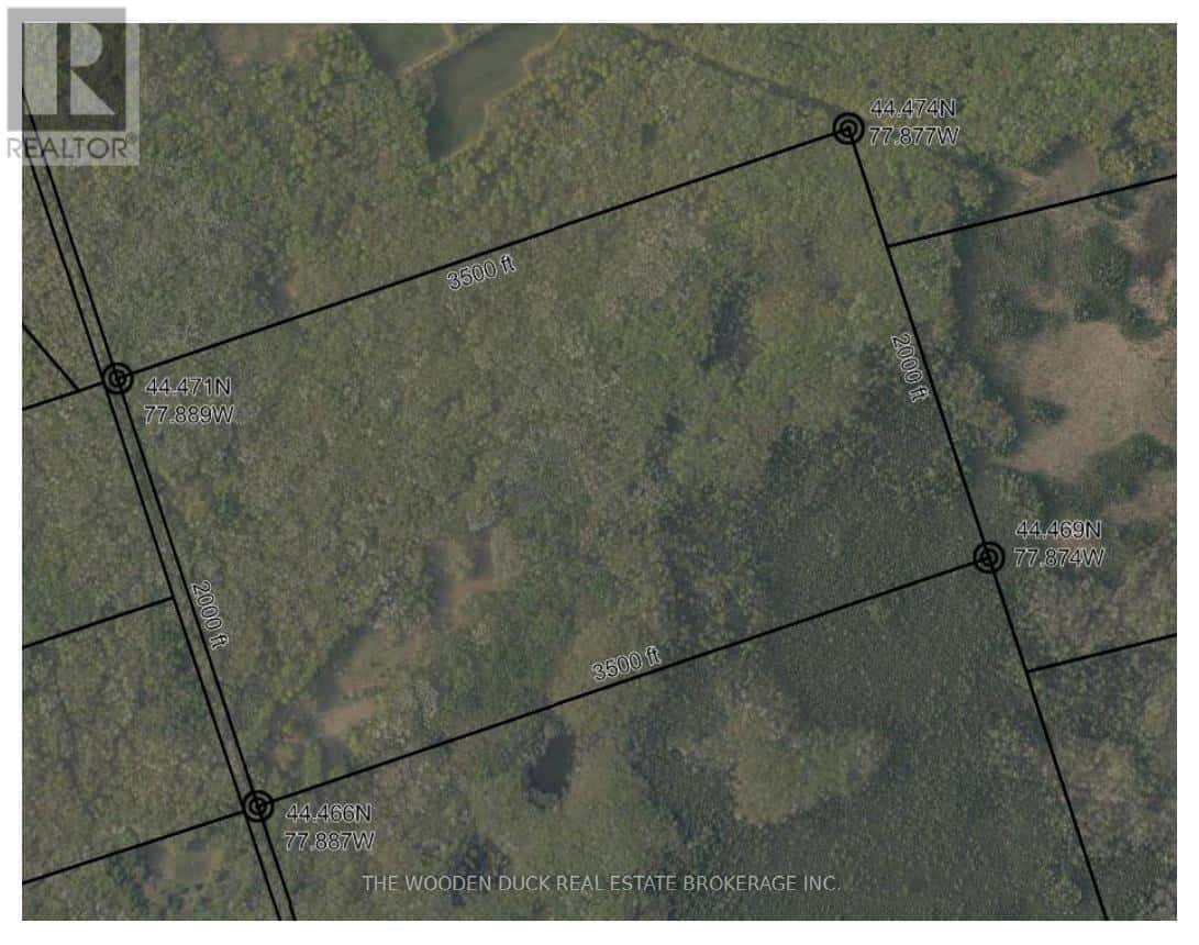 0EAST1 ROAD ALLOWANCE ROAD — Havelock-Belmont-Methuen (Belmont-Methuen), Ontario - Photo 4 of 19