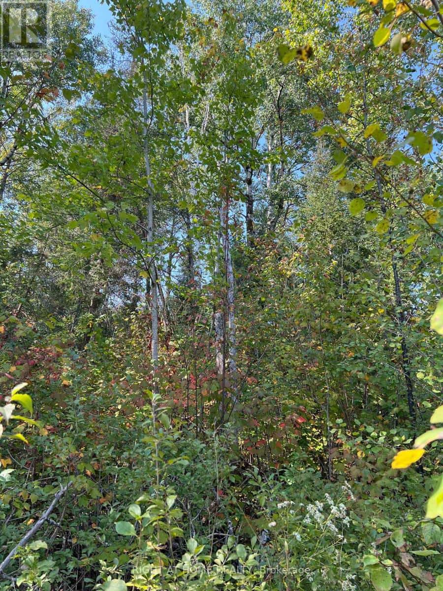 0 LAPLAGE ROAD — West Nipissing (Verner), Ontario - Photo 5 of 9