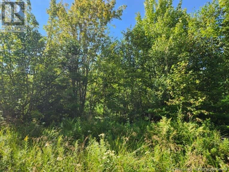 2 Chignecto Lane — Wood Point, New Brunswick - Photo 3 of 3