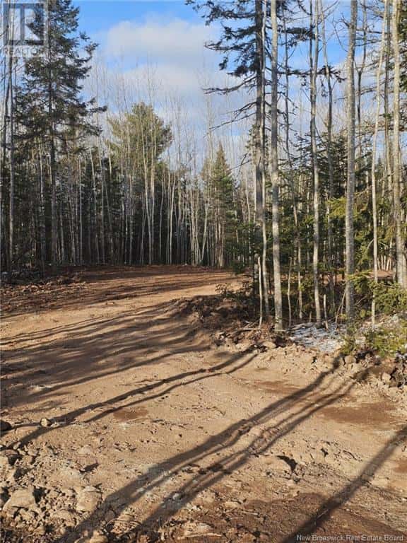 Lot 04-17 Sunset View Lane — Cumberland Bay, New Brunswick - Photo 3 of 9