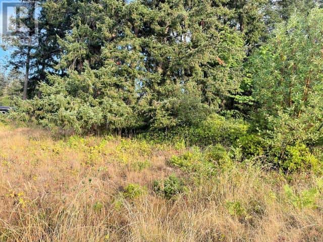 Lot 4 DOGWOOD STREET — Texada Island, British Columbia - Photo 3 of 4