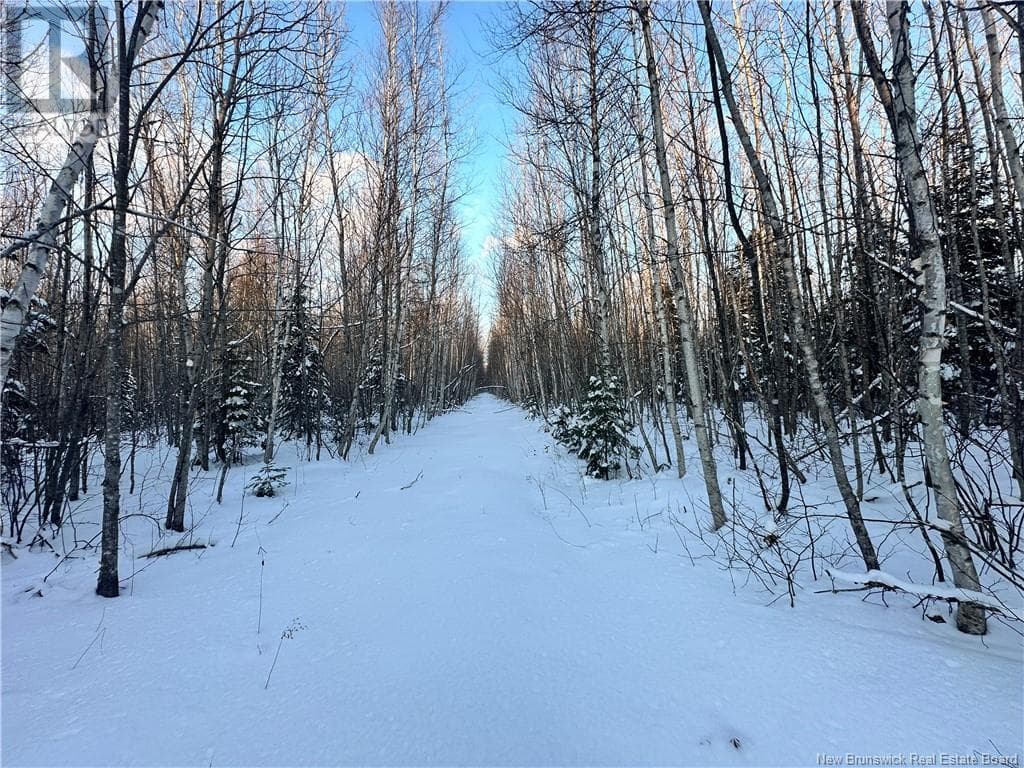 Lot Mclean Settlement — Saint-Paul, New Brunswick - Main photo
