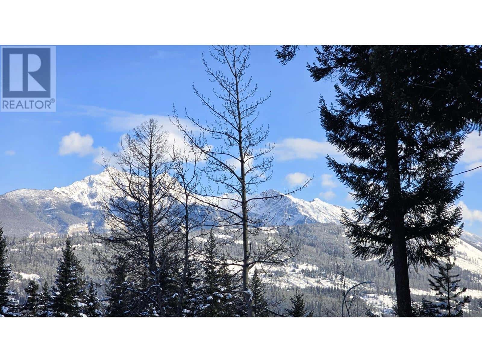 754 BALMER Crescent — Elkford, British Columbia - Photo 3 of 5