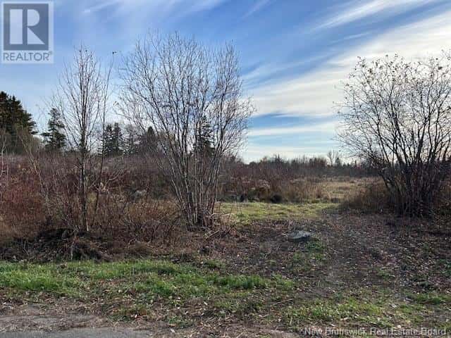 874 Riverside Drive — Bathurst, New Brunswick - Photo 4 of 4