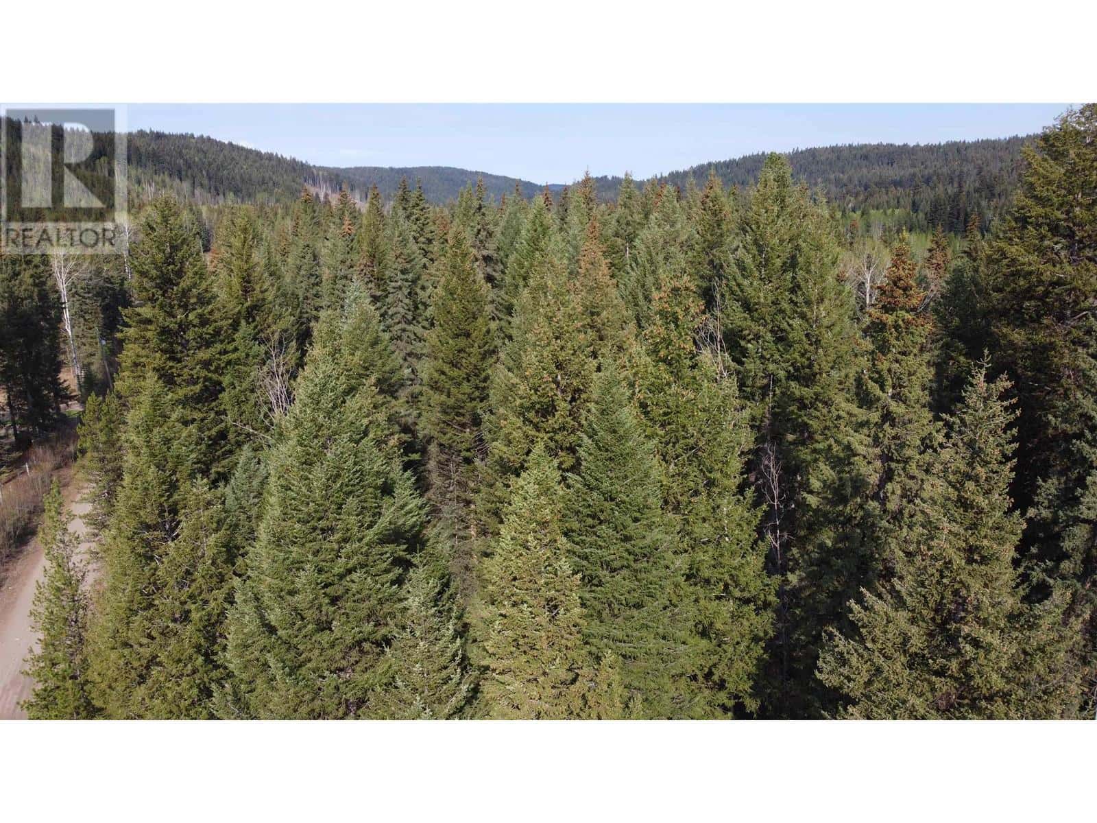 LOT B BRYCE ROAD — Forest Grove, British Columbia - Photo 4 of 26