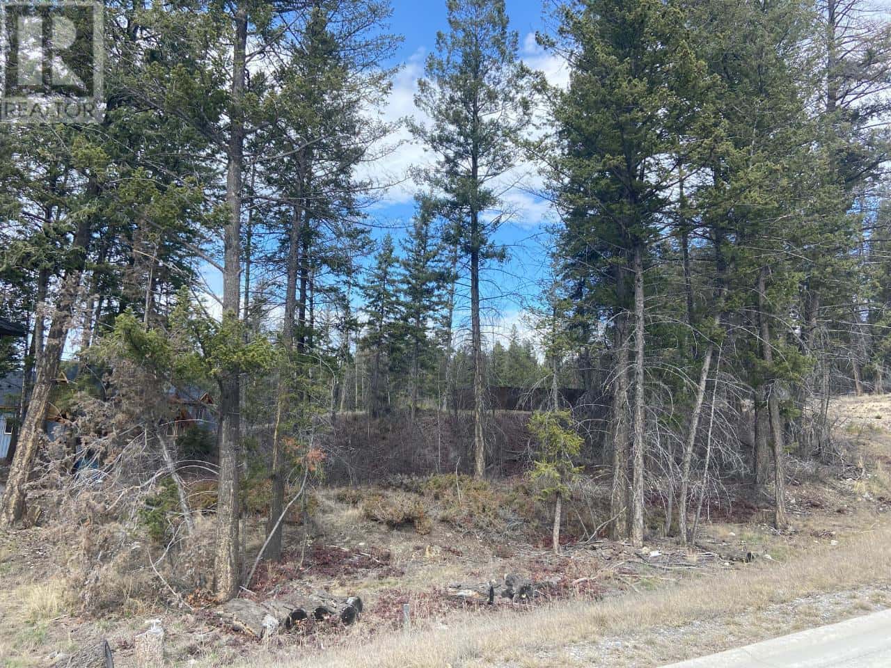 Lot 22 EAGLEBROOK Court — Fairmont Hot Springs, British Columbia - Photo 3 of 12