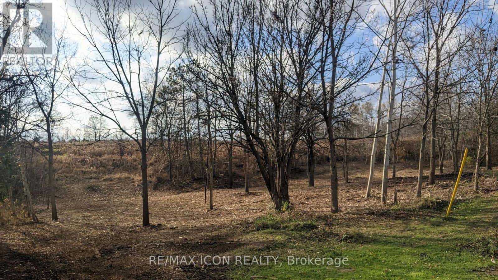 237 Frederick Street