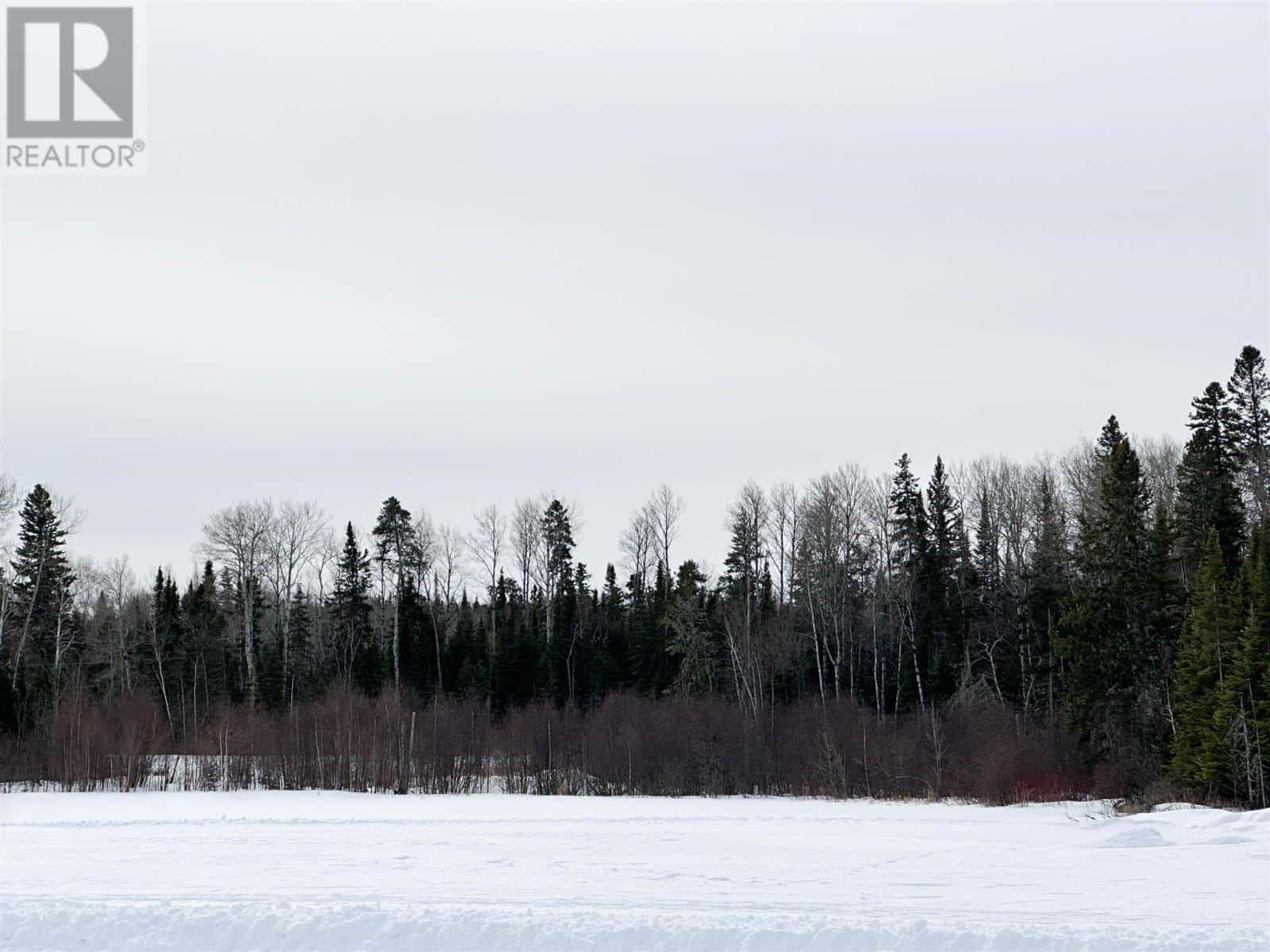 200 St. Pauls BAY — Red Lake, Ontario - Photo 4 of 6