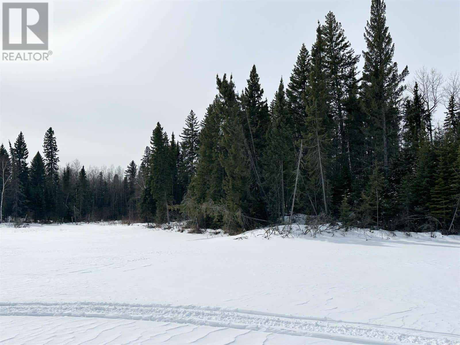 116 McManus ST — Balmertown, Ontario - Photo 4 of 7