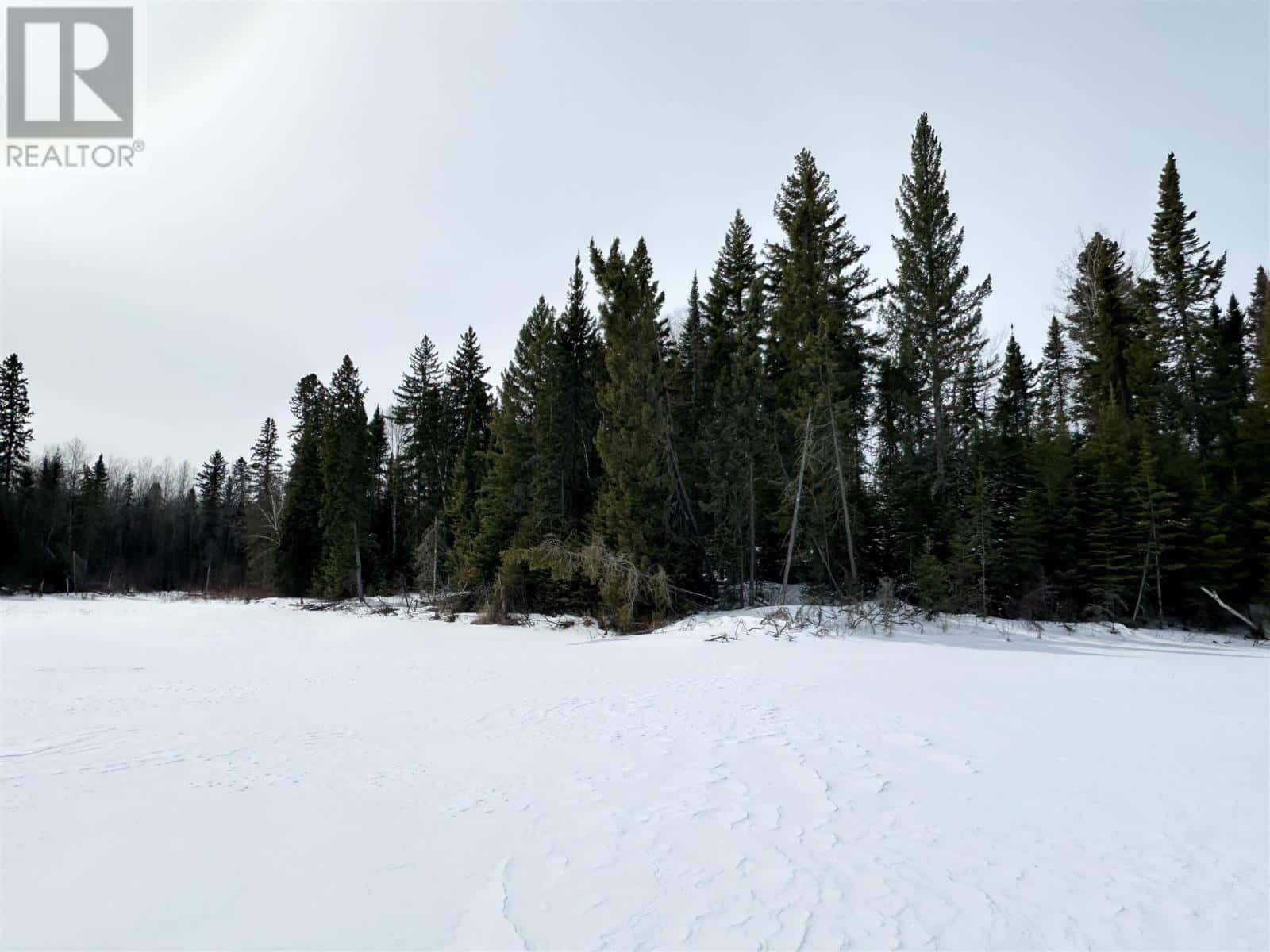 116 McManus ST — Balmertown, Ontario - Photo 5 of 7