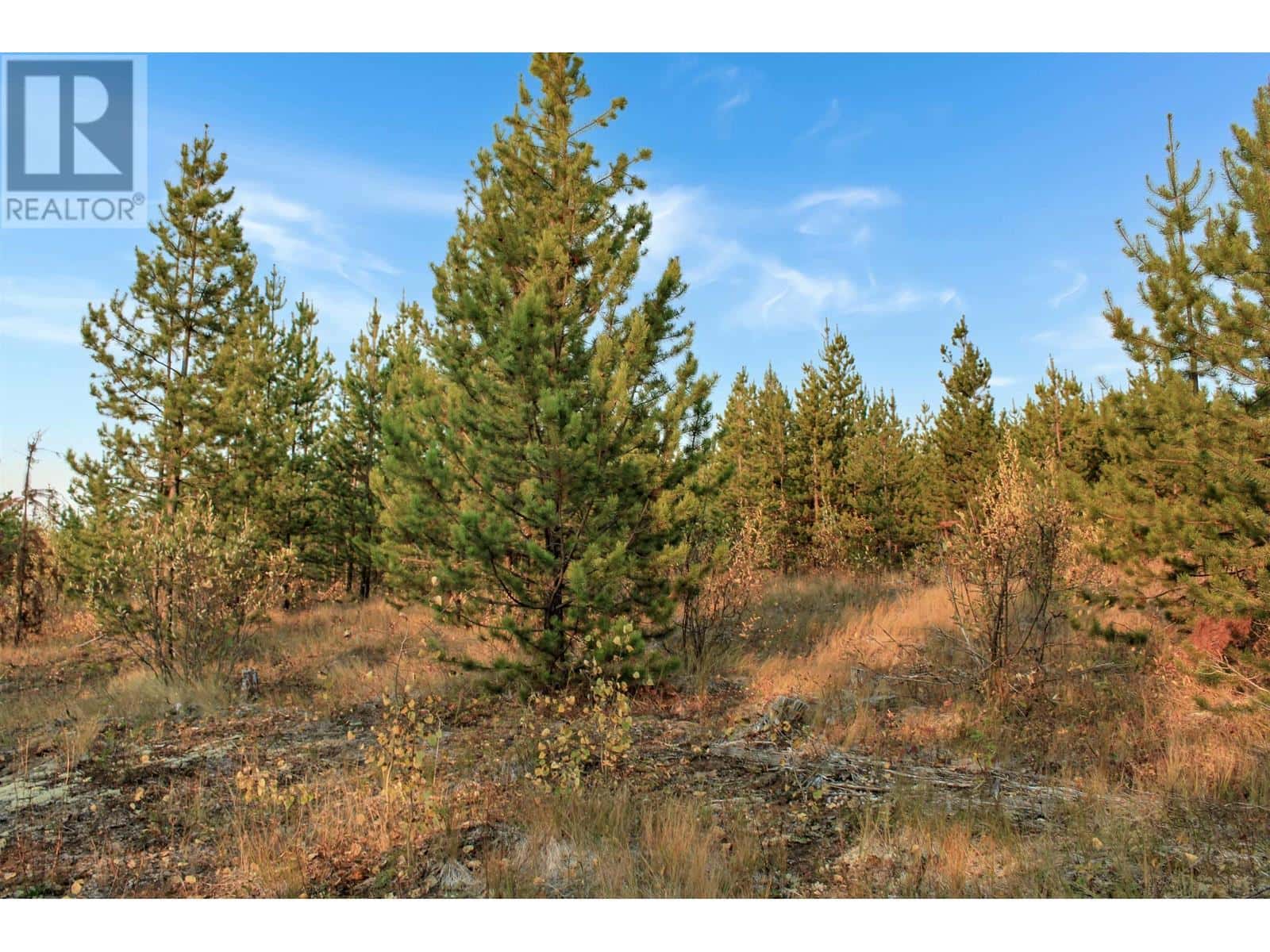 PROP LOT 32 BROWN ROAD — Bridge Lake, British Columbia - Photo 5 of 32