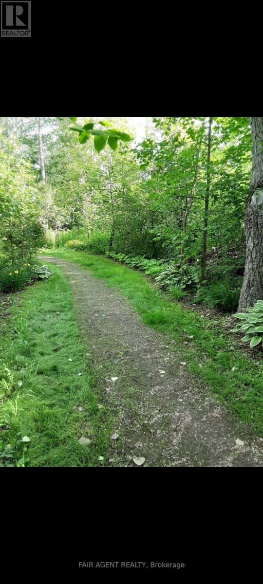 PT LT16 NORTH LUNENBURG ROAD W — South Stormont, Ontario - Photo 3 of 22