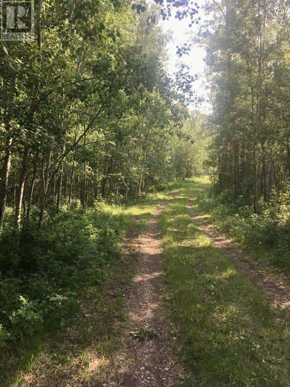 ON Highway 771 — Rural Ponoka County, Alberta - Photo 5 of 12