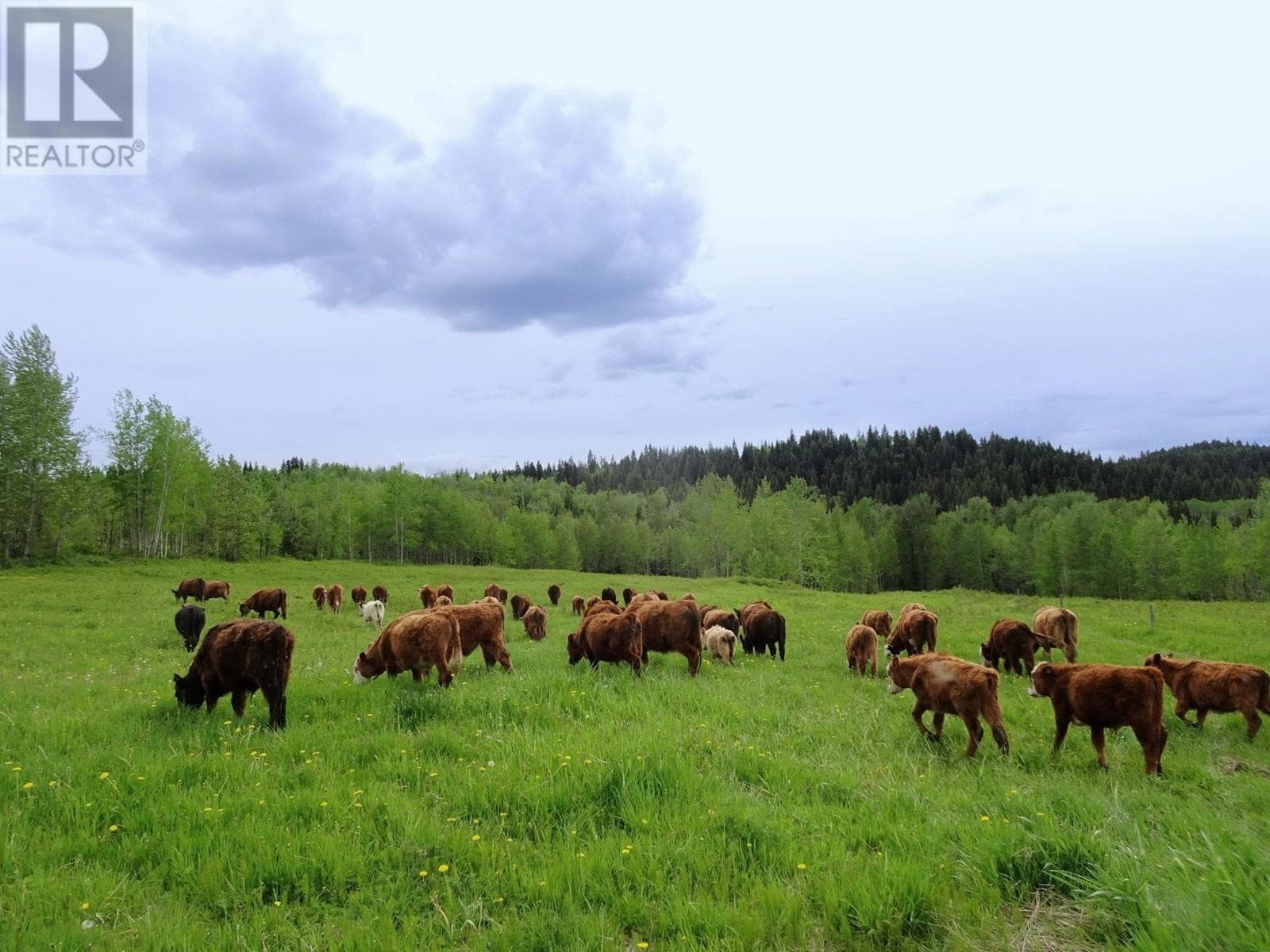 DL5277 DAY ROAD — Horsefly, British Columbia - Main photo