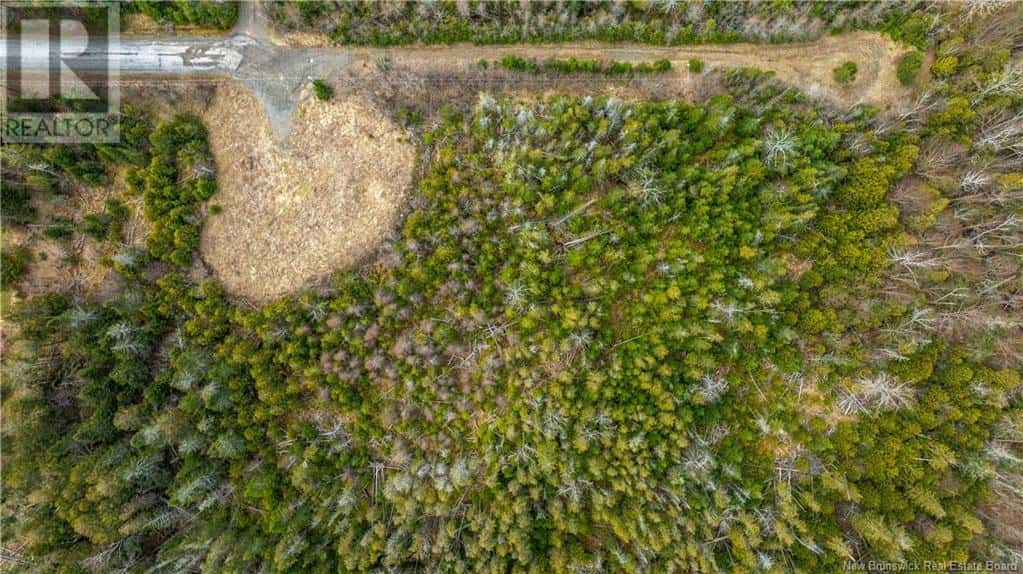 45A Crestwood Lane — Saint Andrews, New Brunswick - Photo 3 of 10