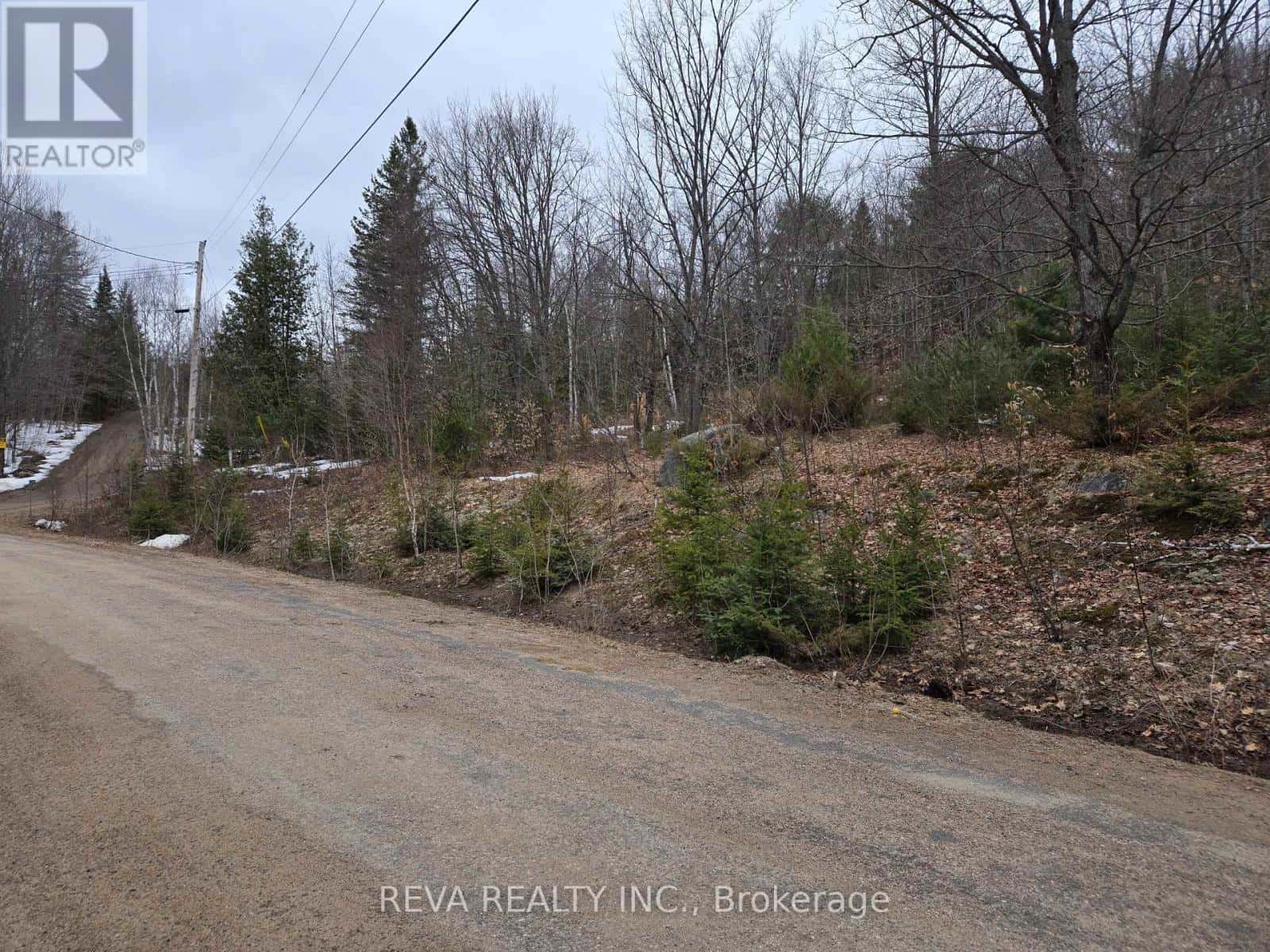 000 WILTOM DRIVE — Madawaska Valley, Ontario - Photo 2 of 4
