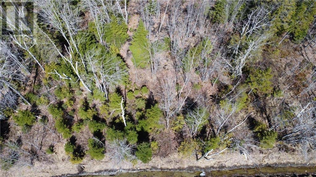 Lot Saint-Pierre Road — Rogersville, New Brunswick - Photo 3 of 7