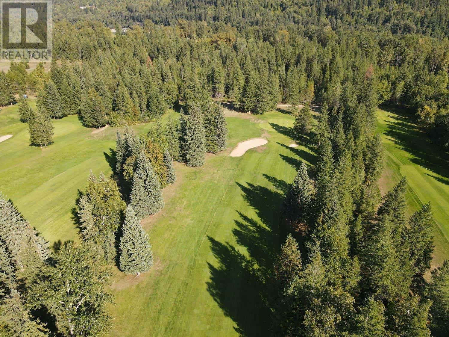 1476/1480 Old North Thompson Highway — Clearwater, British Columbia - Photo 3 of 5