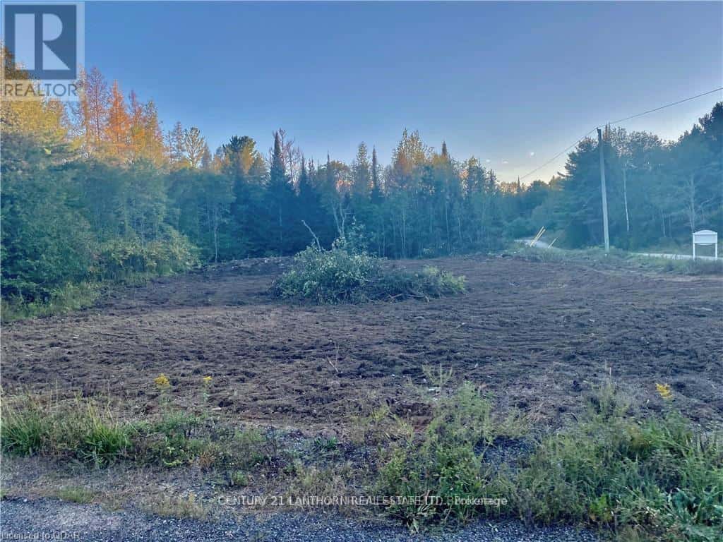 0 STONEY SETTLEMENT ROAD — Tudor and Cashel (Tudor Ward), Ontario - Photo 3 of 22