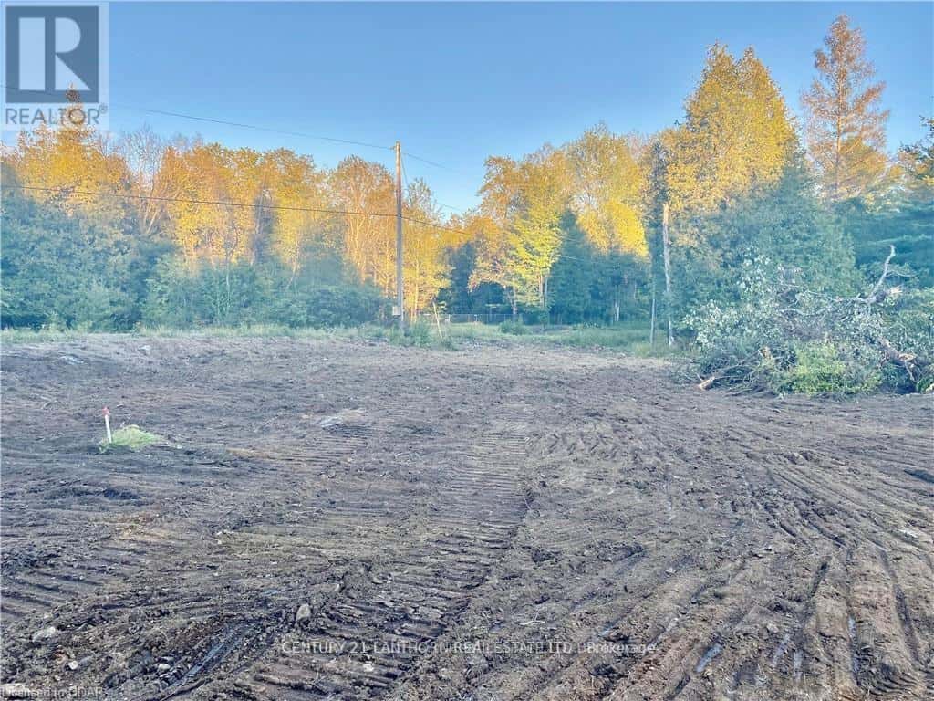 0 STONEY SETTLEMENT ROAD — Tudor and Cashel (Tudor Ward), Ontario - Photo 4 of 22