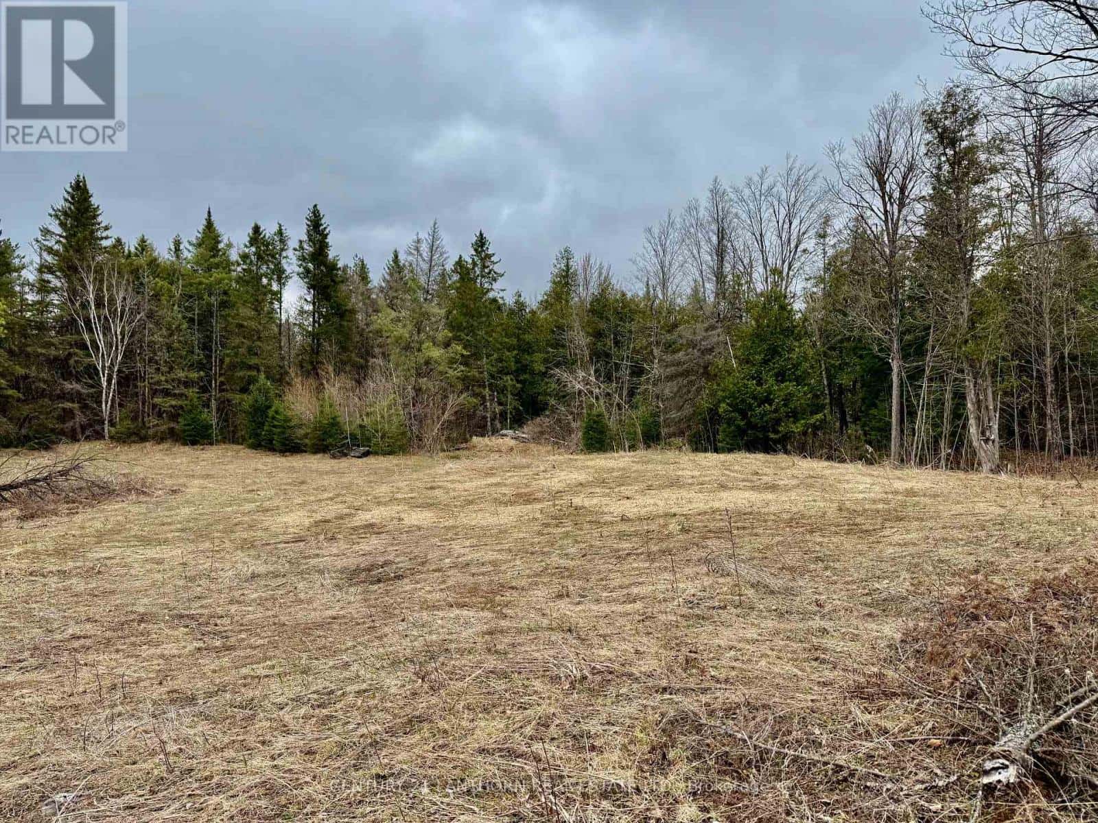 885 CLEVELAND ROAD — Tudor and Cashel (Tudor Ward), Ontario - Photo 2 of 13