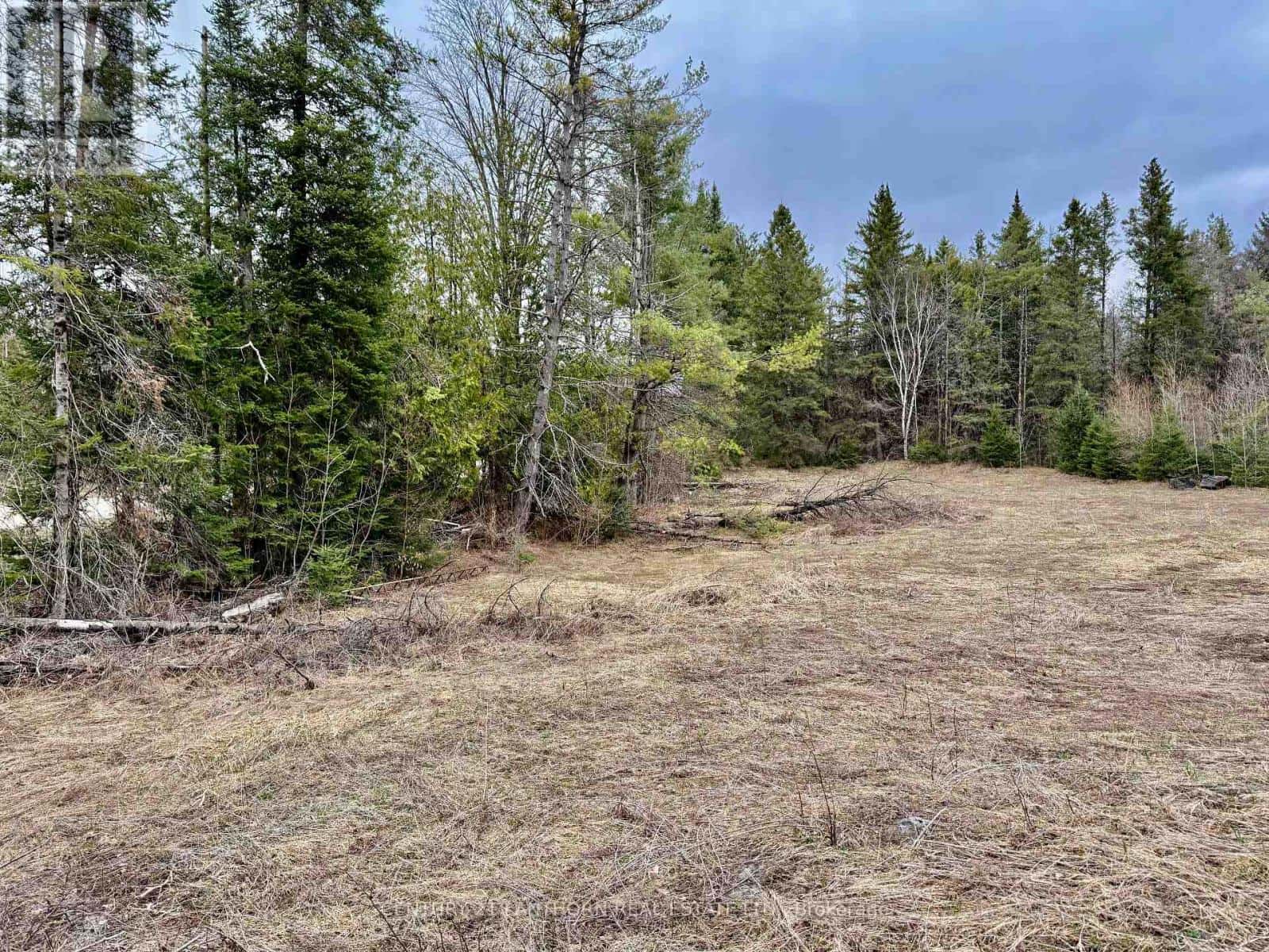 885 CLEVELAND ROAD — Tudor and Cashel (Tudor Ward), Ontario - Photo 4 of 13