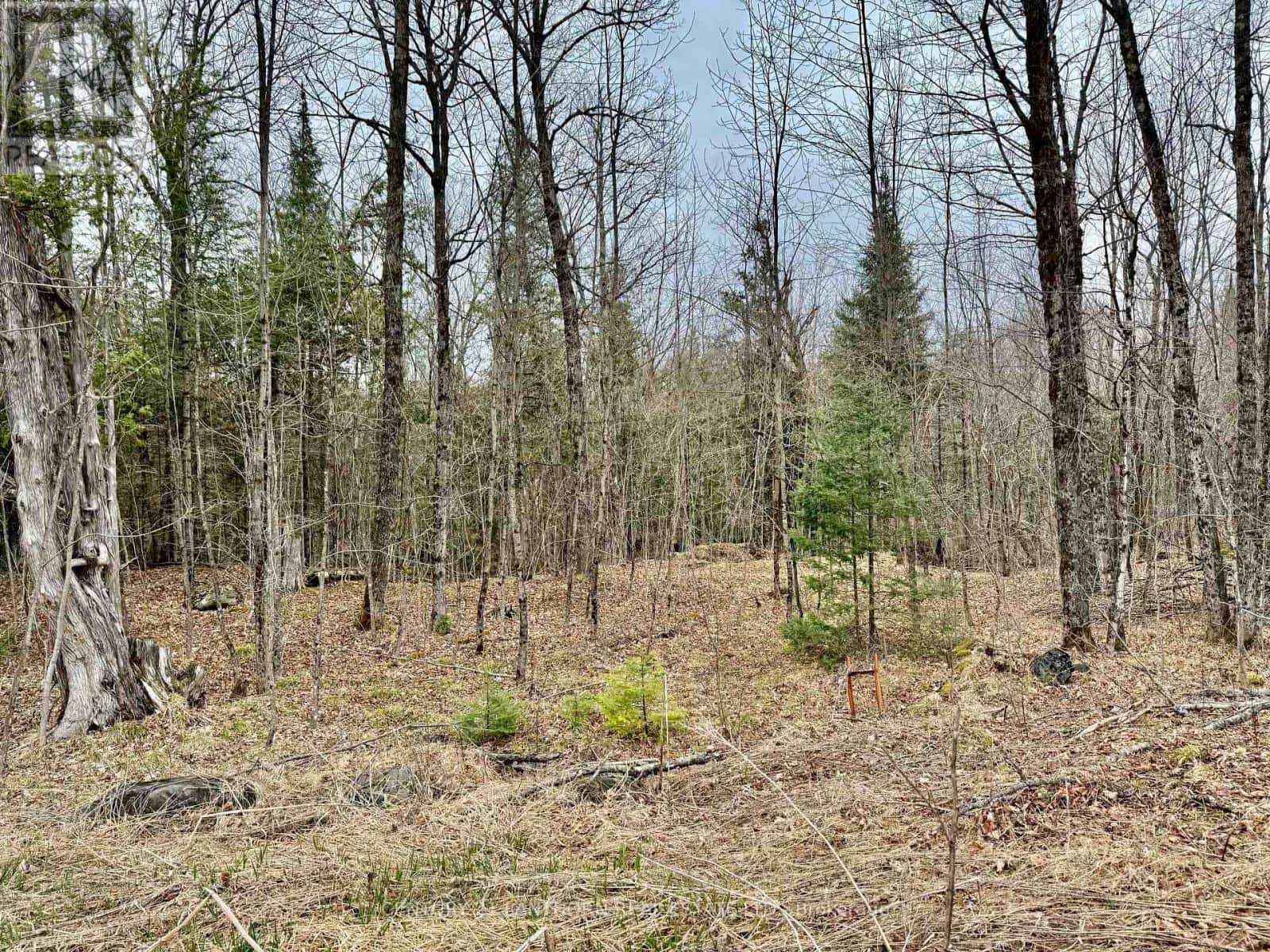 885 CLEVELAND ROAD — Tudor and Cashel (Tudor Ward), Ontario - Photo 5 of 13