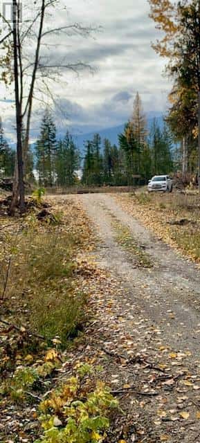 Lot A 23 Highway — Nakusp, British Columbia - Photo 5 of 20