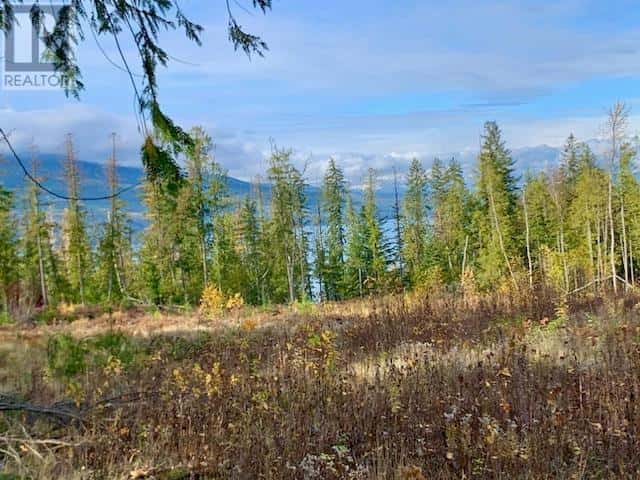 Lot A 23 Highway — Nakusp, British Columbia - Photo 2 of 20