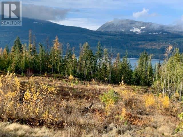 Lot A 23 Highway — Nakusp, British Columbia - Photo 4 of 20