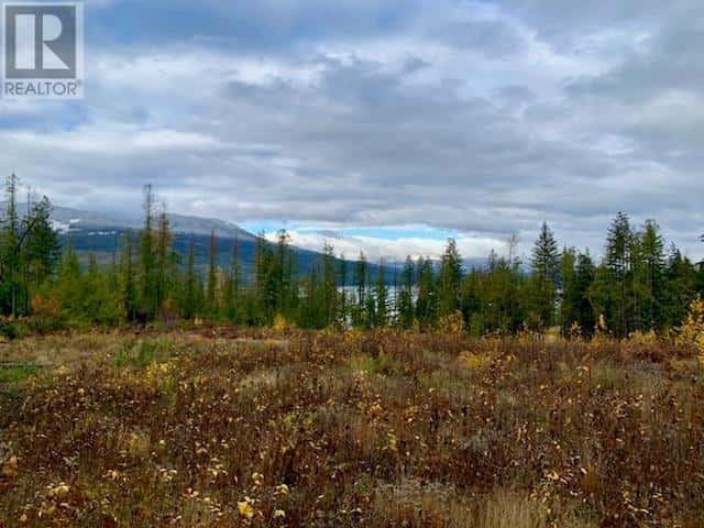Lot A 23 Highway — Nakusp, British Columbia - Photo 3 of 20