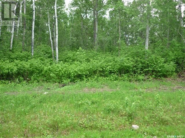 1 Smits AVENUE — Nipawin Rm No. 487, Saskatchewan - Main photo