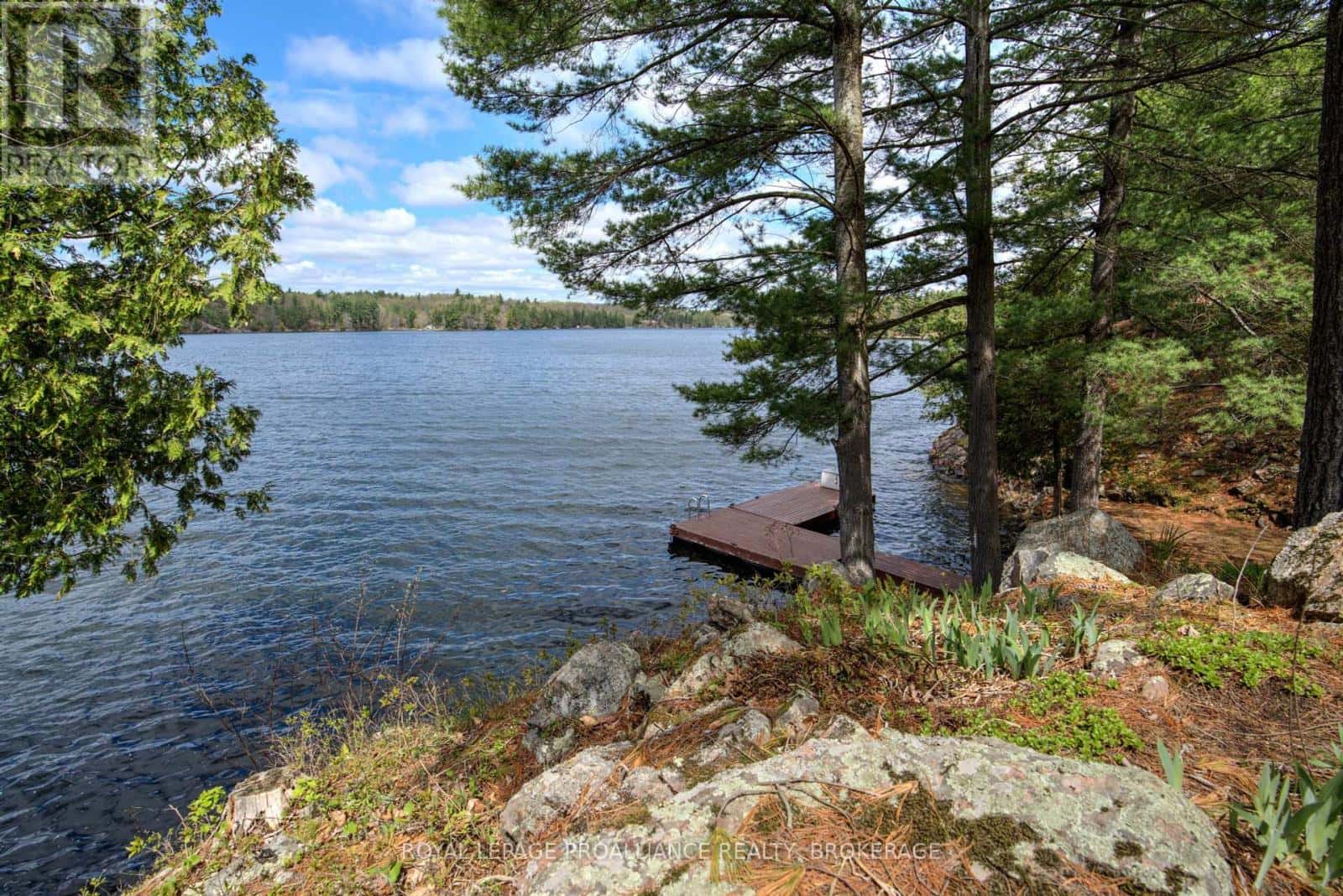 1133 SASSY TREE LANE — Frontenac (Frontenac South), Ontario - Photo 5 of 47