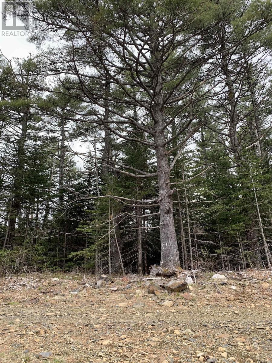 No 103 Highway — Western Shore, Nova Scotia - Main photo