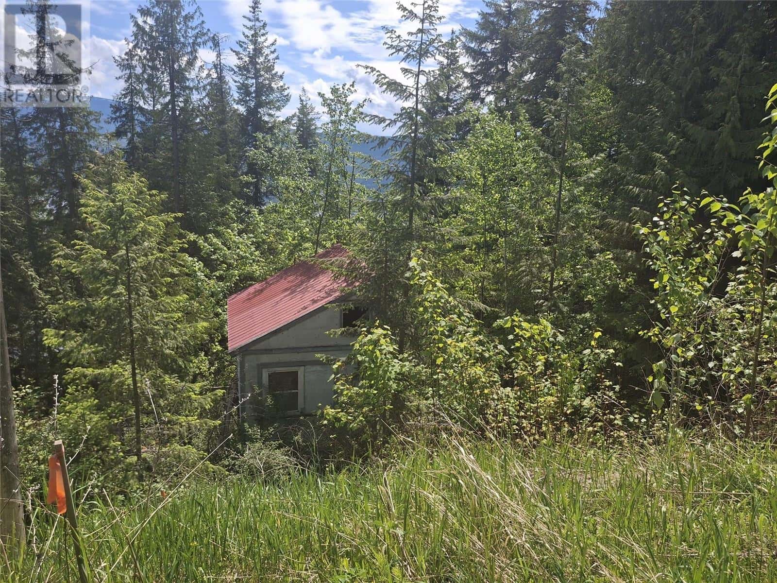 Lot 69 Castle Heights — Anglemont, British Columbia - Photo 3 of 7