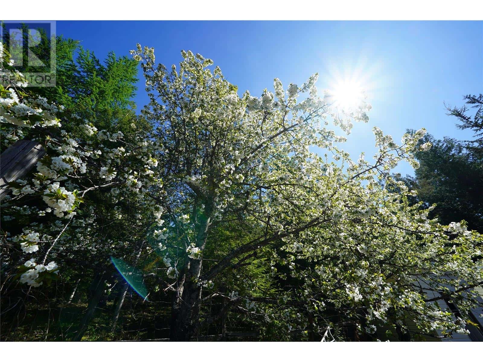 425 Alexander Road — Procter, British Columbia - Photo 3 of 81