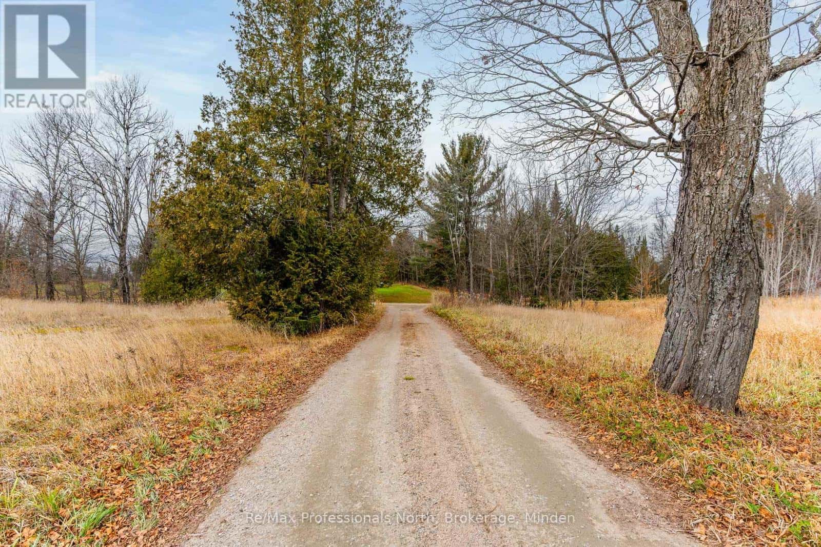 1047 MCCREA ROAD — Highlands East (Monmouth), Ontario - Photo 3 of 46