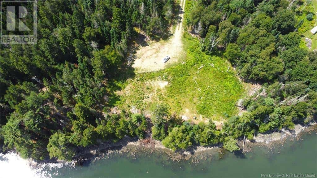 379 Hills Point Road — Oak Bay, New Brunswick - Photo 5 of 29