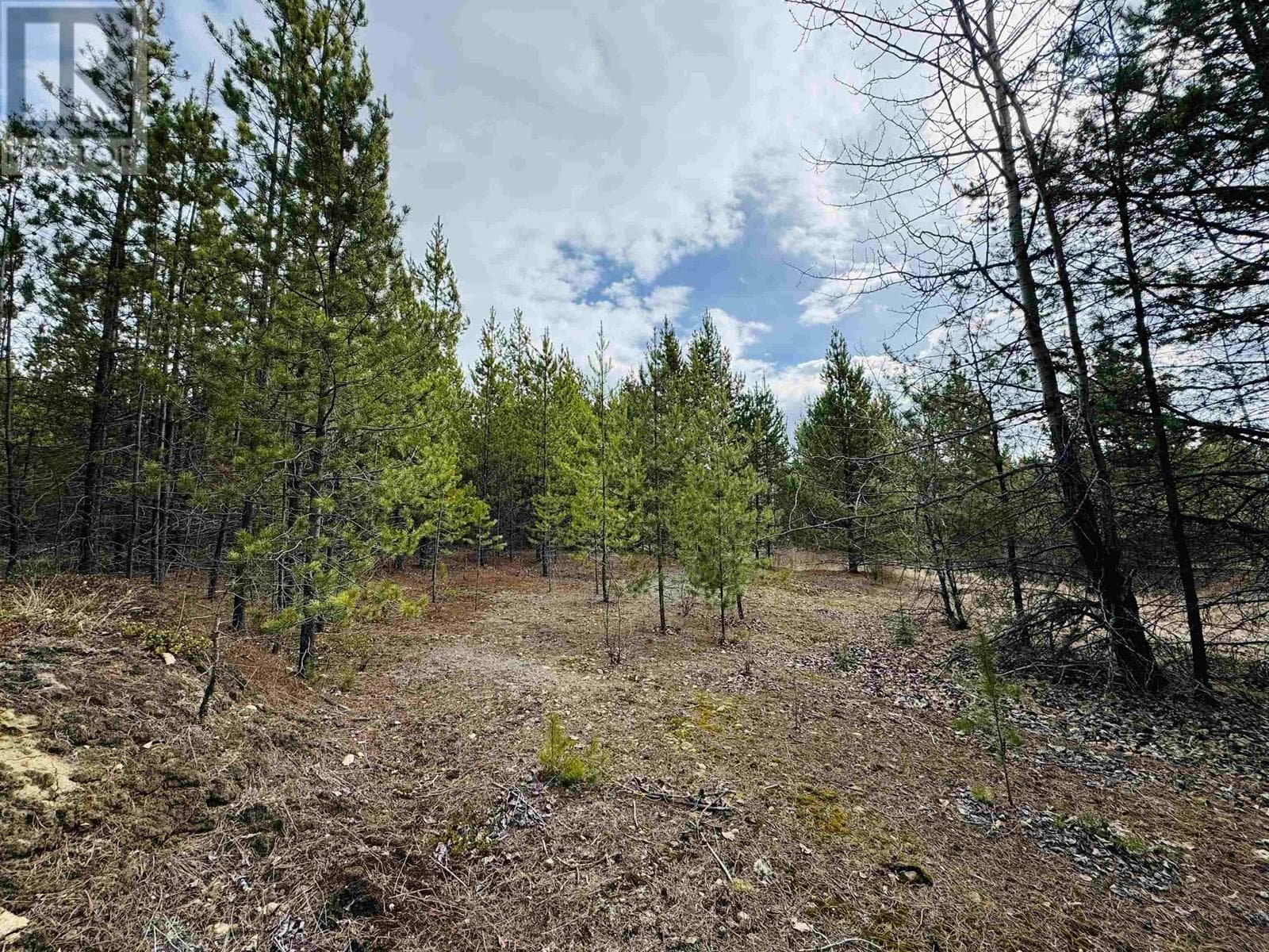 LOT 5 STARVIEW ROAD — Valemount, British Columbia - Main photo