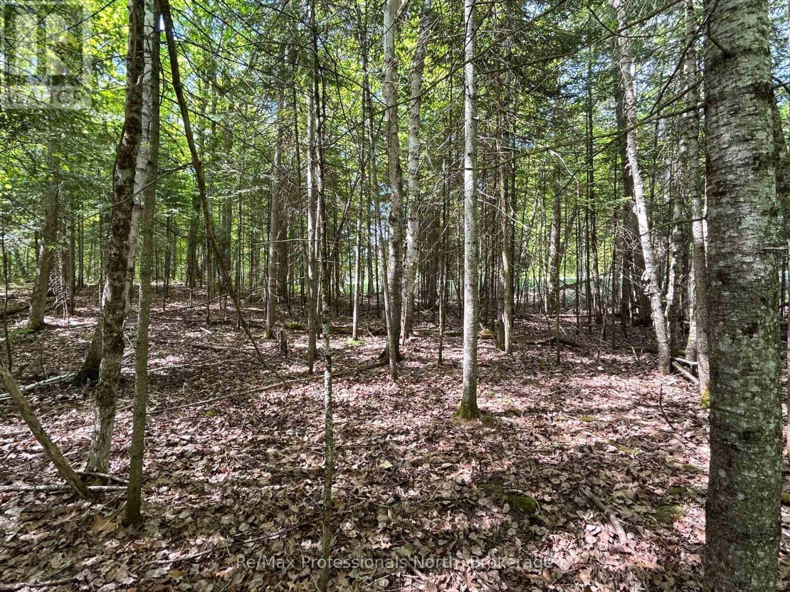 0 SHARON LAKE DRIVE — Minden Hills (Minden), Ontario - Photo 2 of 10