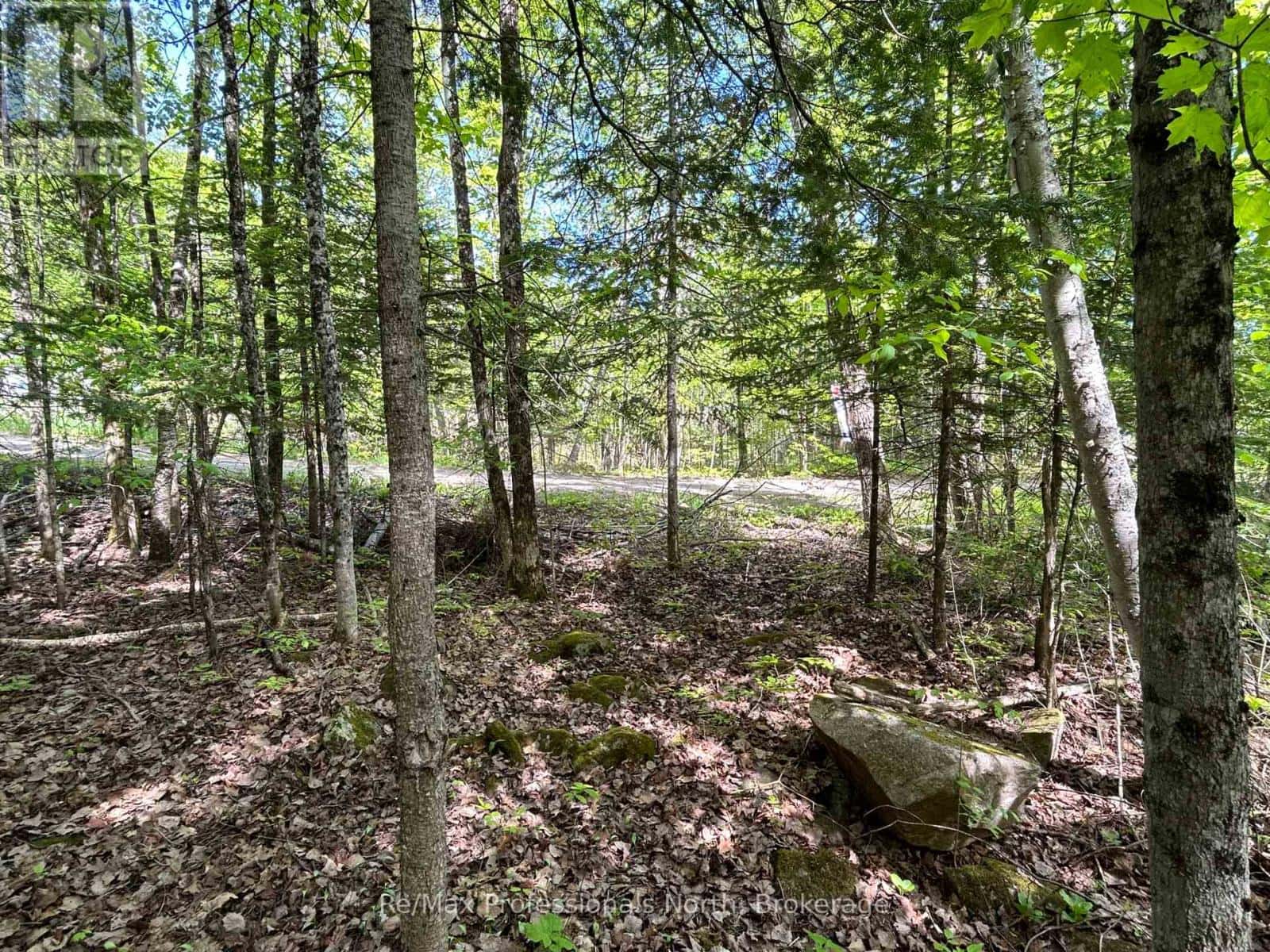 0 SHARON LAKE DRIVE — Minden Hills (Minden), Ontario - Photo 3 of 10