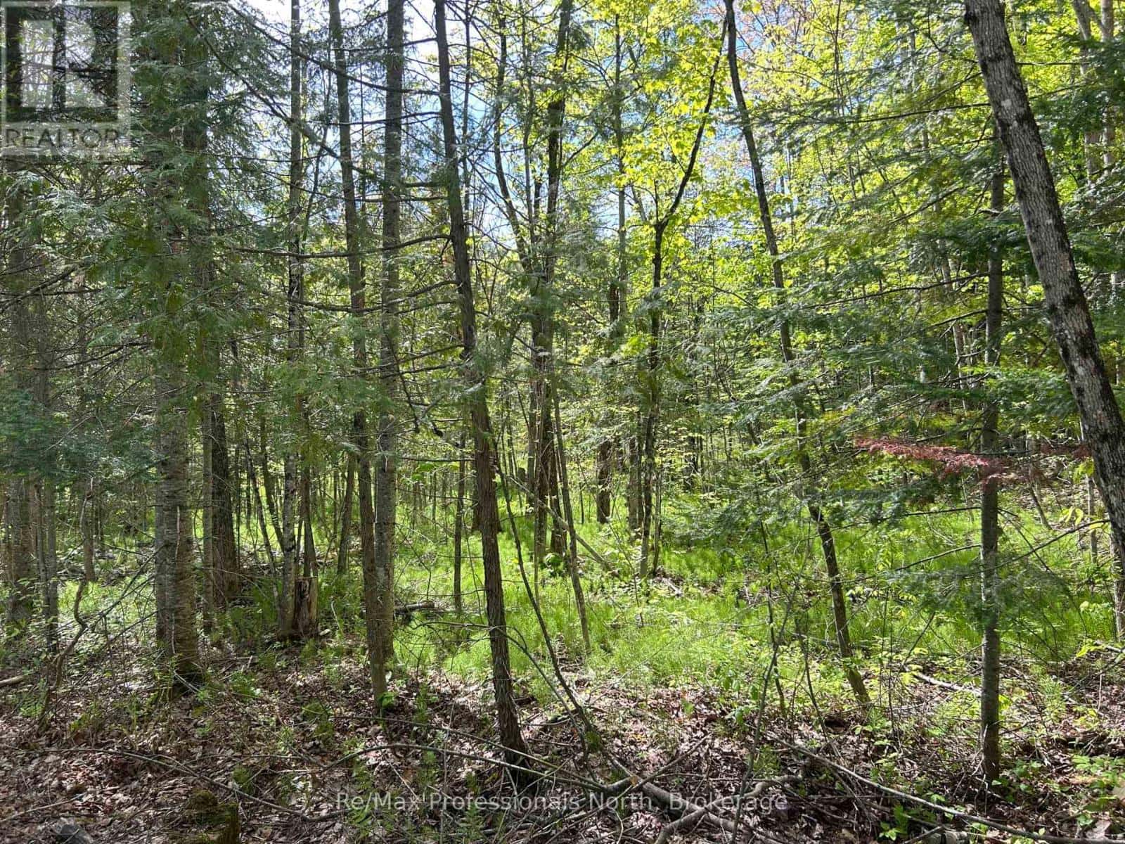 0 SHARON LAKE DRIVE — Minden Hills (Minden), Ontario - Photo 4 of 10