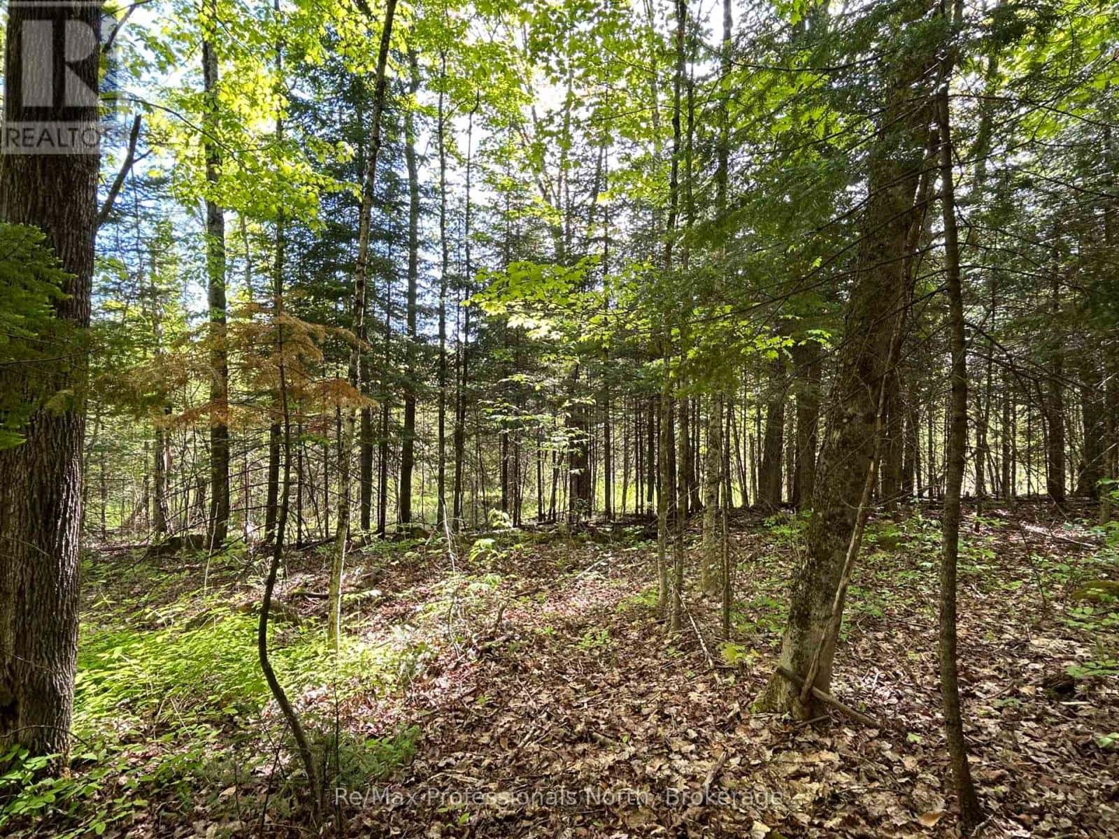 0 SHARON LAKE DRIVE — Minden Hills (Minden), Ontario - Photo 5 of 10