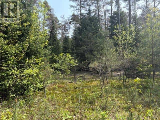 147 SO HO MISH ROAD — Perry, Ontario - Photo 3 of 10