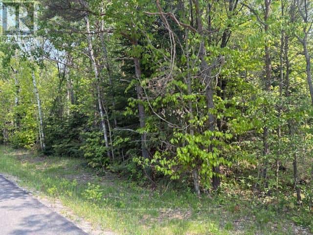 147 SO HO MISH ROAD — Perry, Ontario - Photo 5 of 10