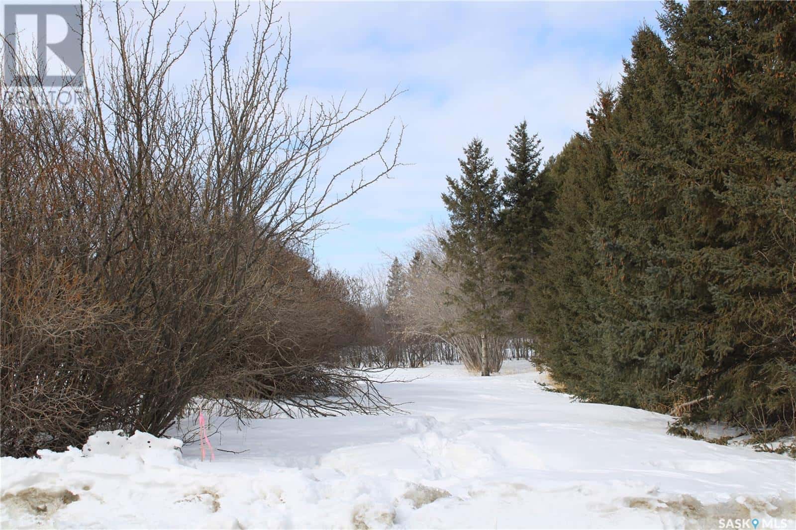 730 Broadway STREET W — Orkney Rm No. 244, Saskatchewan - Photo 5 of 9