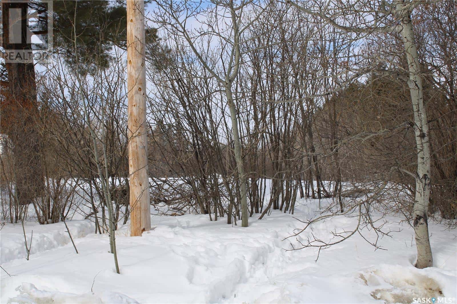 730 Broadway STREET W — Orkney Rm No. 244, Saskatchewan - Photo 4 of 9