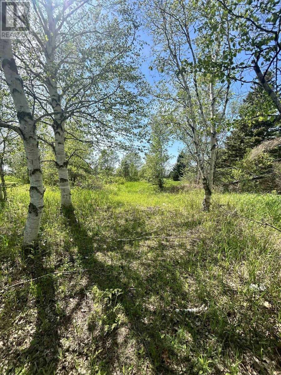 0 Richard Douglas Drive Drive W — Mermaid, Prince Edward Island - Photo 5 of 13